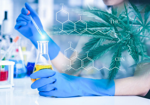 Why Cannabinoids Degrade Over Time: The Science Behind THC CBN Conversion